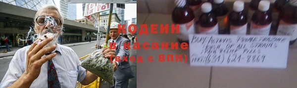 амф Богданович