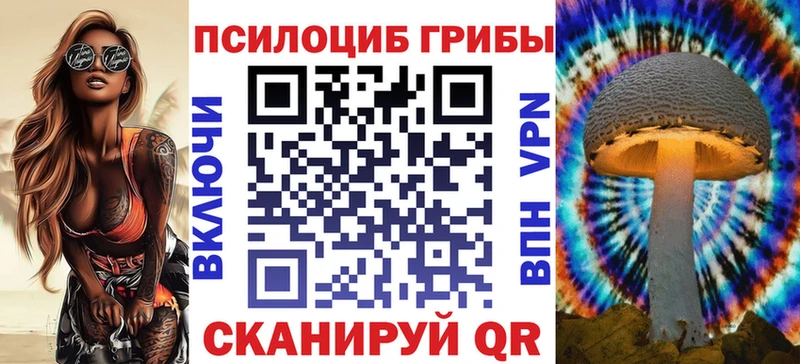 купить   Котлас  Псилоцибиновые грибы MAGIC MUSHROOMS 